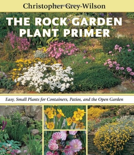 The rock garden plant - rock, primer