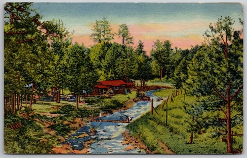Cartolina epoca ruidoso - ruidoso, new