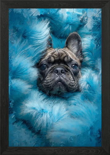 Poster bulldog francese - poster,