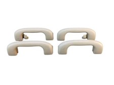 Passenger handles for interior