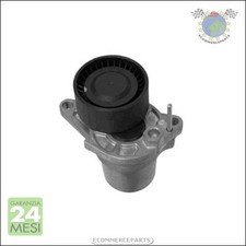 Tendicinghia cinghia poly-v