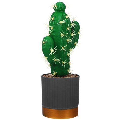 Statuina decorativa cactus