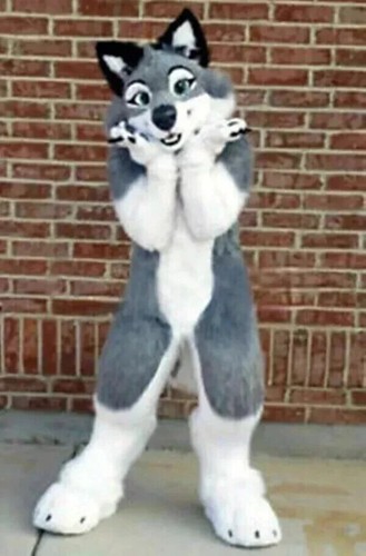 Costume mascotte grigio bianco