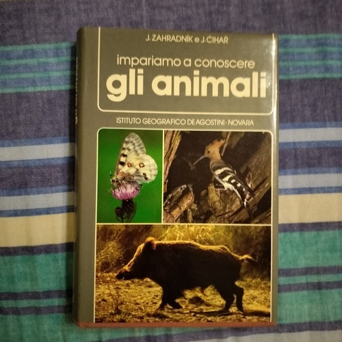Iimpariamo conoscere gli - iimpariamo,
