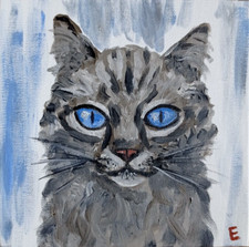 Gatto grigio animale opera