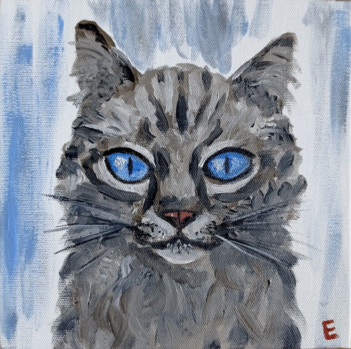 Gatto grigio animale opera