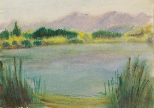 Paesaggio arabo soleggiato con