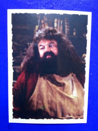 Harry potter figure n 1 - 🔵, n°1