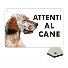 Setter inglese attenti cane - al,