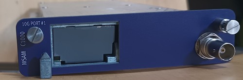 Jdsu viavi msamv1 module - viavi, c1000