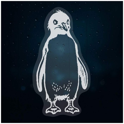 Rockhopper penguin - 'rockhopper, penguin'