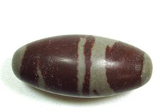 Pietra Lingam Shiva del fiume