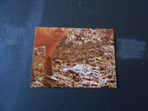 Figurina grande album - il,