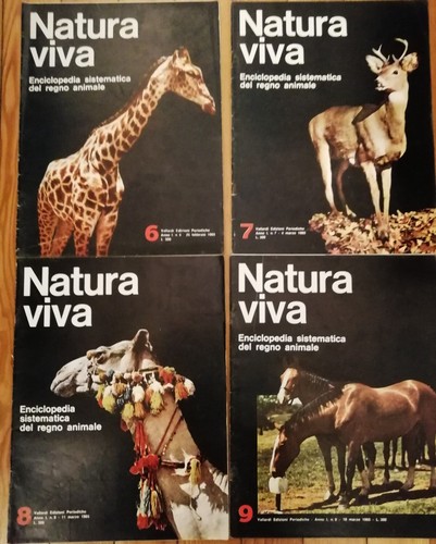 Natura viva enciclopedia - viva,