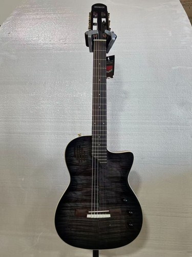 Chitarra classica silenziosa