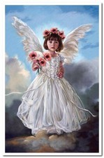 ANGELO BAMBINA Ali tra le