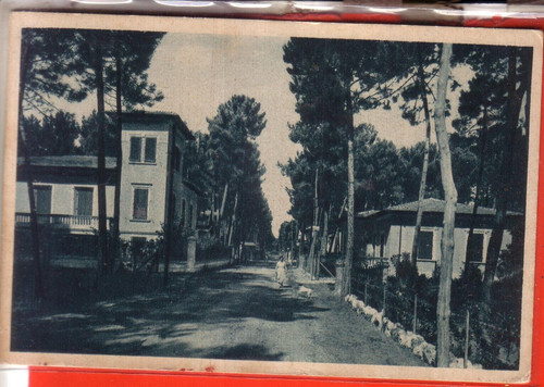 Cartolina marina di - cartolina,