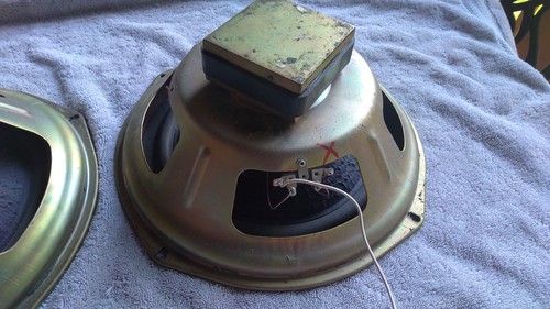 Woofer singolo grande avvento