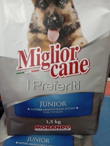 Morando miglior cane - morando,