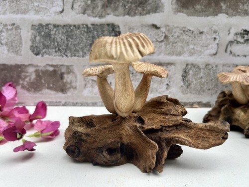 Scultura sgabello rospo radice