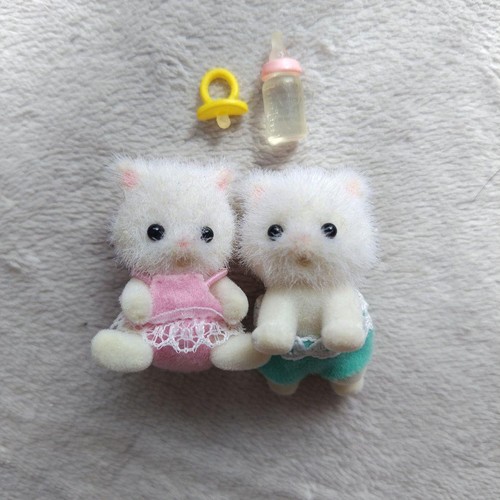 Gemelli gatti persiani