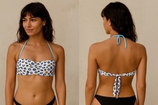 Golden Point Top Mare Donna