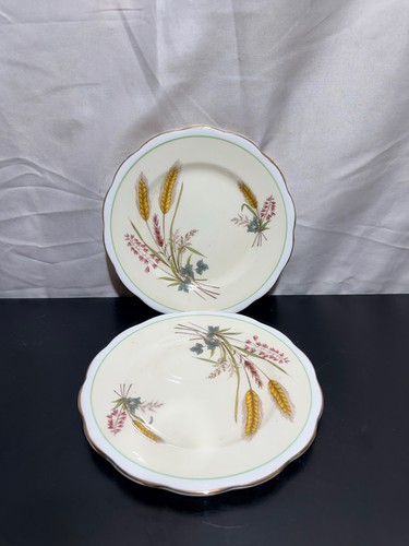 Piatti roslyn fine bone china - piatti,