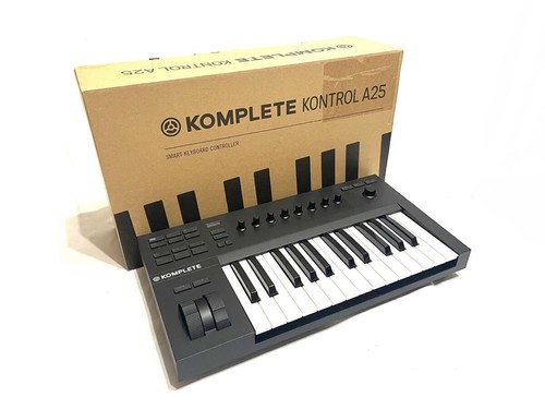 Native instruments komplete - native,