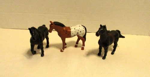 Lusitano appaloosa cavallo - appaloosa,