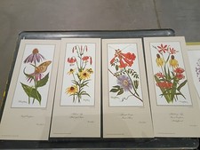 Ray Harm Wildflowers set di 6