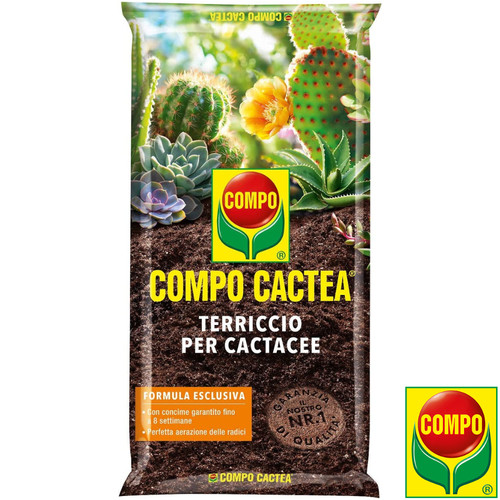 Compo cactea terriccio per - cactea,