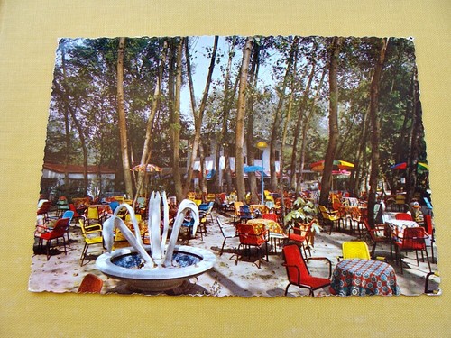 Lido predosa - lido,