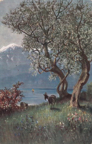 Cartolina lago garda - cartolina,