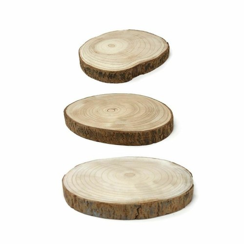 Fetta tronco legno - di,