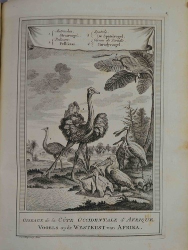 Prevost antoine fra histoire - antoine,
