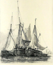 Vela Scotch smacks barche E W