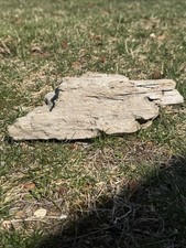 Driftwood Art Coastal Decor