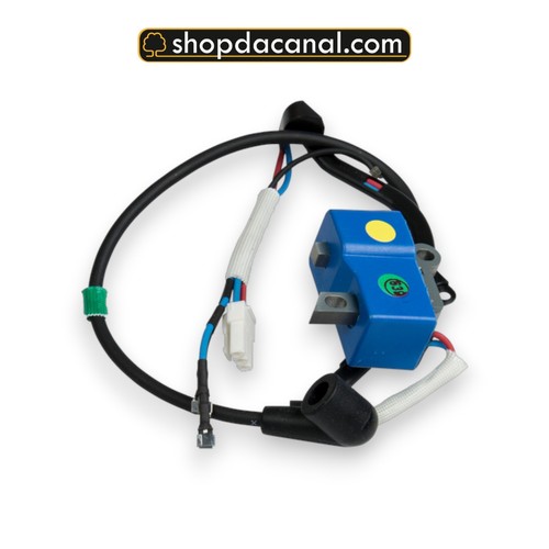 Bobina modulo accensione - bobina,