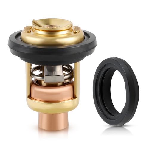 Termostato 143f per johnson - 143f,