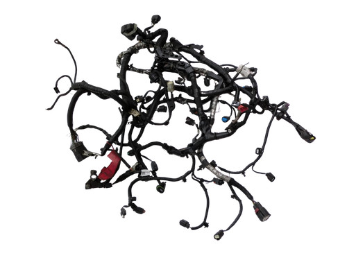 Cablaggio motore - cablaggio,