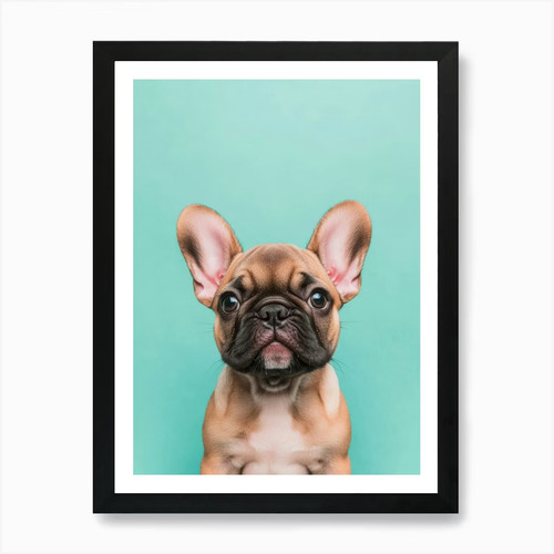 Cucciolo bulldog francese - cucciolo,