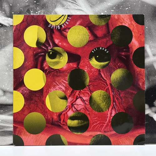 David byrne rei momo lp - –,