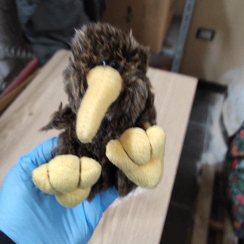 Peluche pupazzo kiwi - peluche/pupazzo,