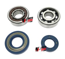 MF1540 - Kit Revisione Albero