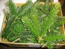 Albero di Natale ghirlanda per