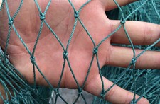 Recinzione per Cani Recinzione