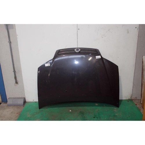 Cofano ant fiat punto - ant.,
