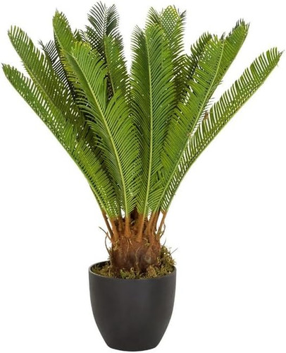 Pianta artificiale cycas palm - pianta,