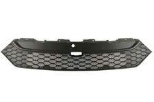 Griglia radiatore centro nero