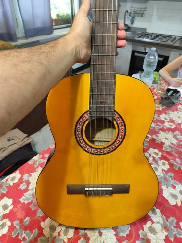 Chitarra acustica darestone - chitarra,